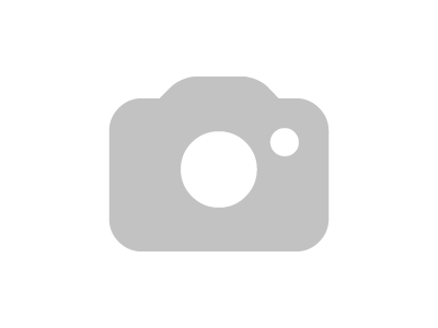 Лагер редуктор BCS Rotex TSB5