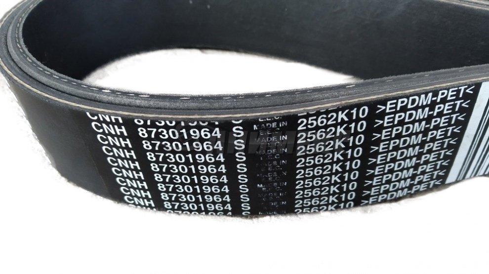 10PK 2562